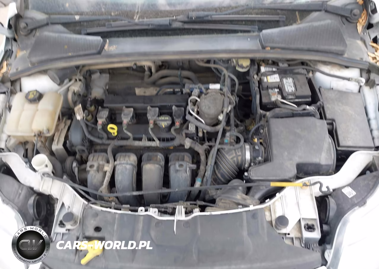 2014 Ford Focus Se VIN:1FADP3F20EL254097 - 10