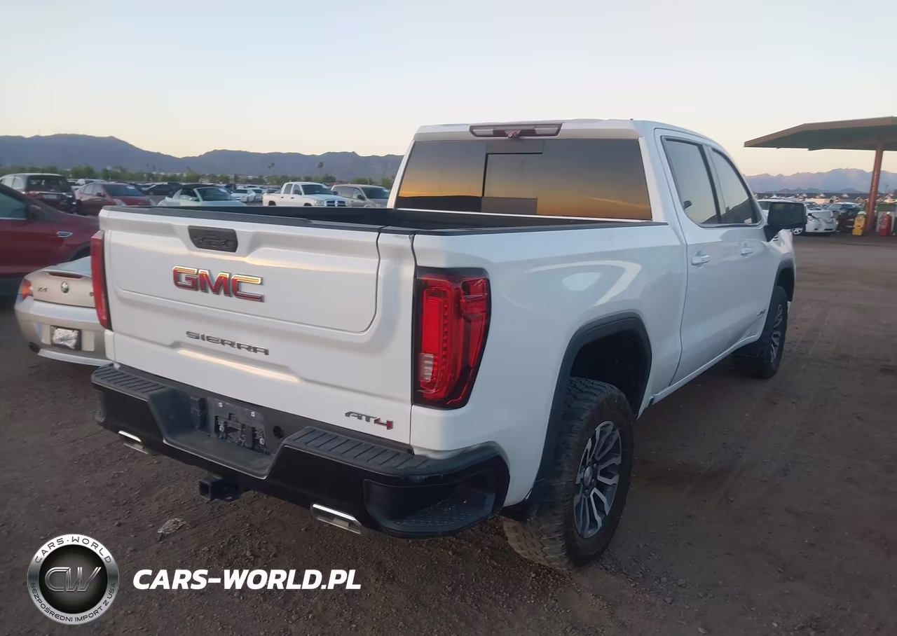 2020 GMC Sierra 1500 VIN:1GTP9EEL7LZ284148 - 4