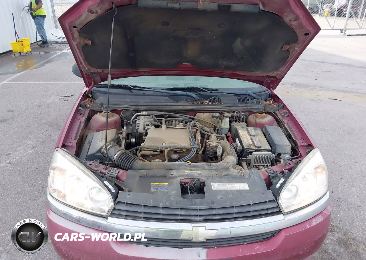 2004 Chevrolet Malibu Ls VIN:1G1ZT54864F131716 - 10
