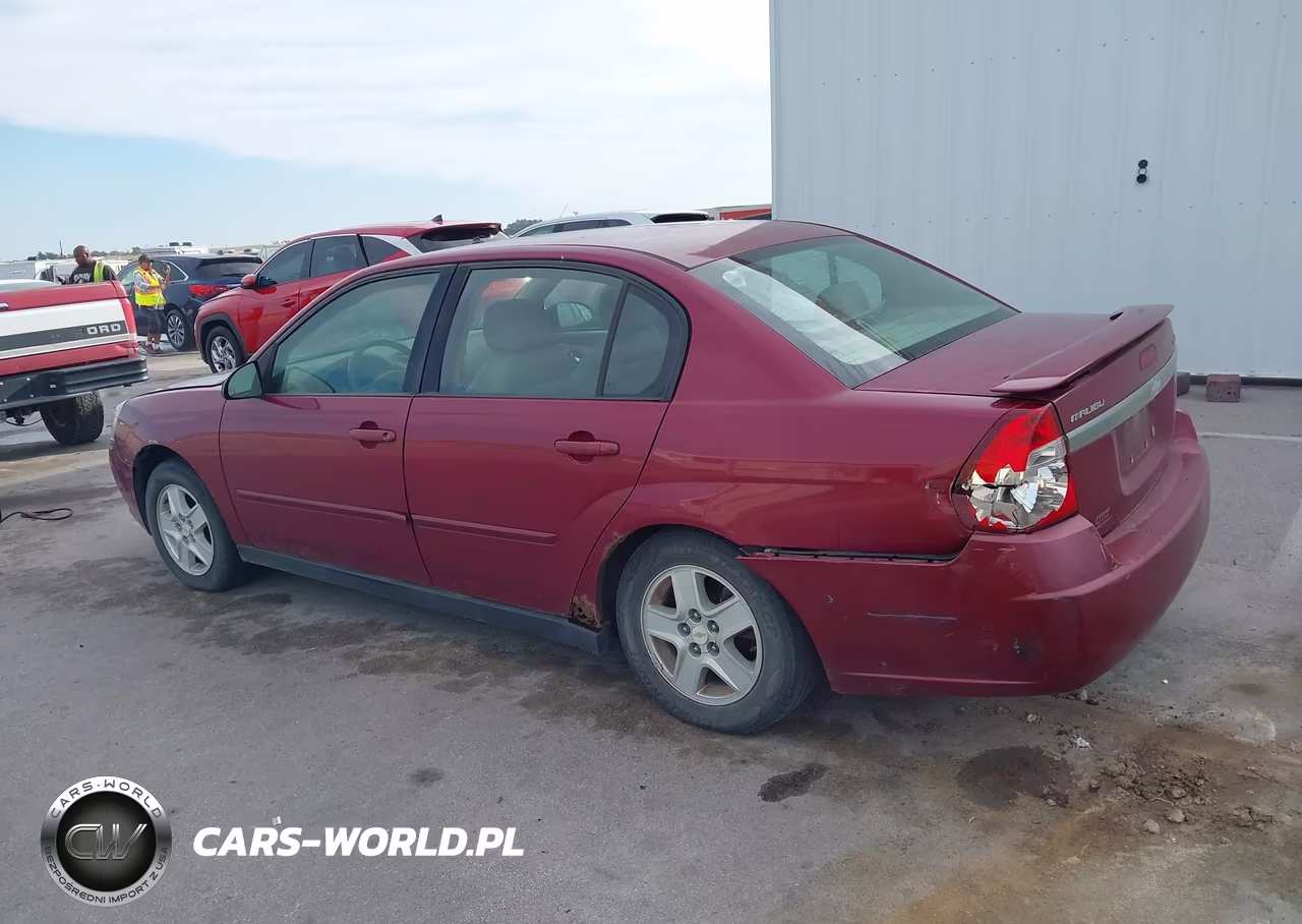 2004 Chevrolet Malibu Ls VIN:1G1ZT54864F131716 - 14