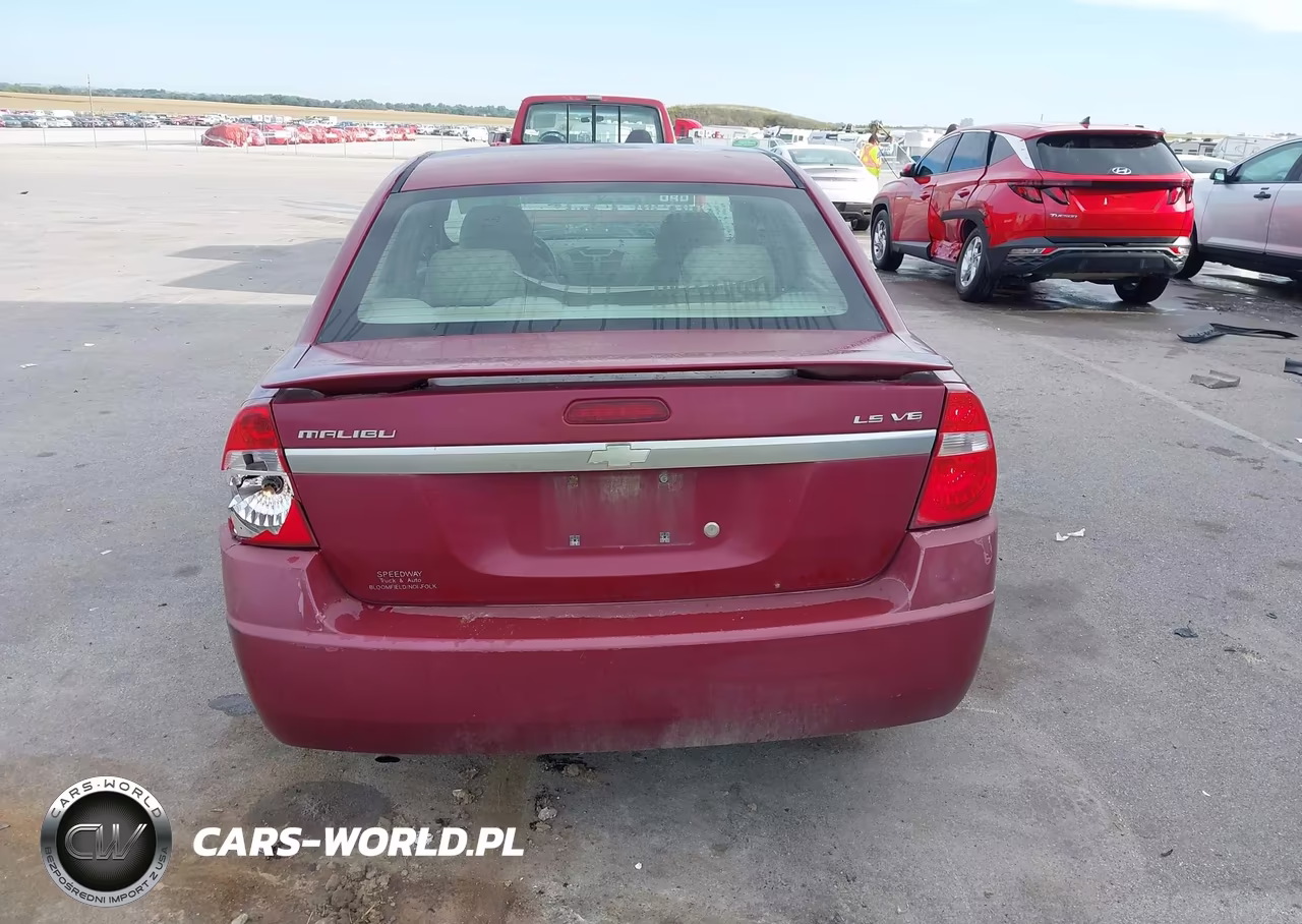 2004 Chevrolet Malibu Ls VIN:1G1ZT54864F131716 - 16