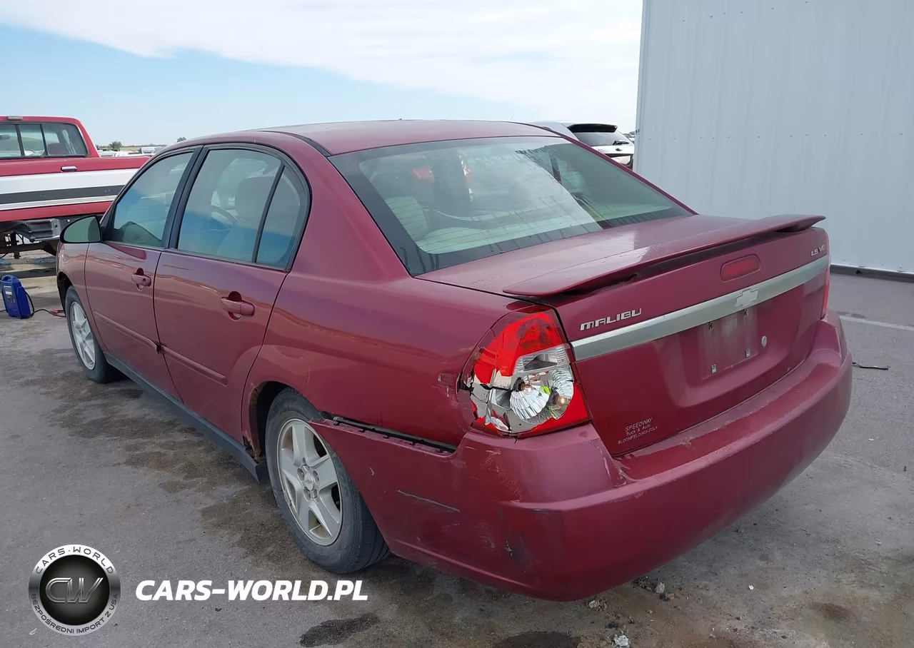 2004 Chevrolet Malibu Ls VIN:1G1ZT54864F131716 - 17