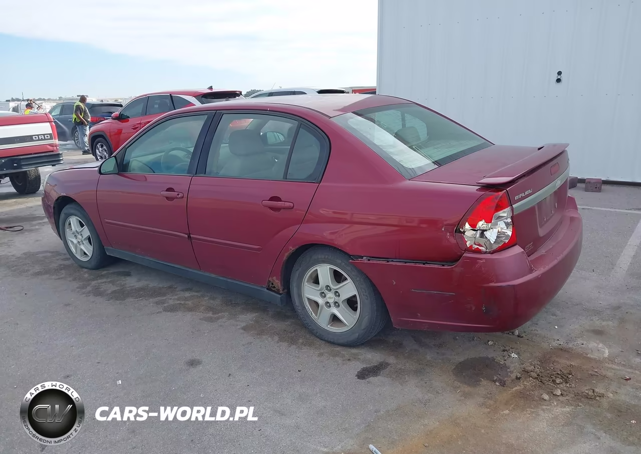 2004 Chevrolet Malibu Ls VIN:1G1ZT54864F131716 - 3