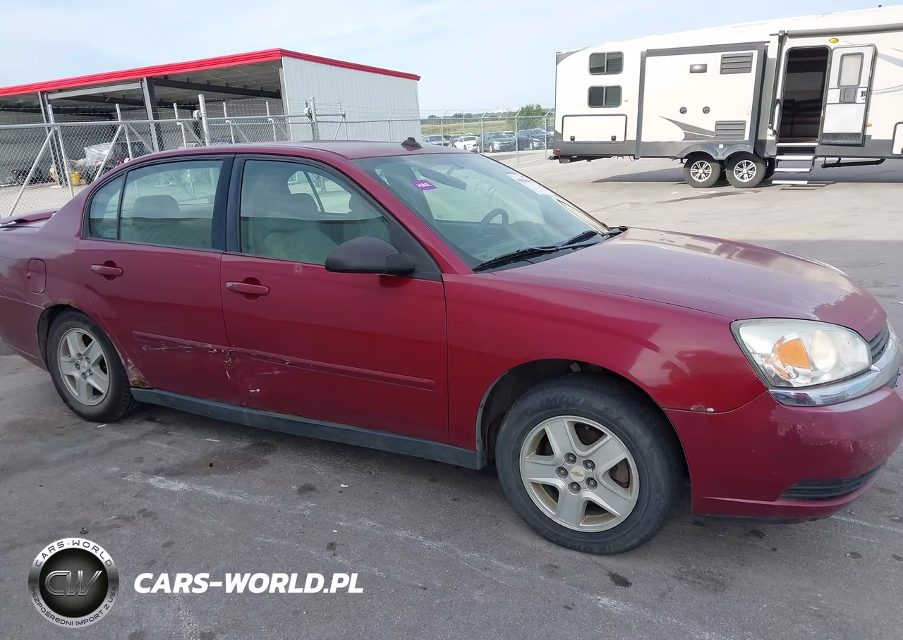 2004 Chevrolet Malibu Ls VIN:1G1ZT54864F131716 - 6