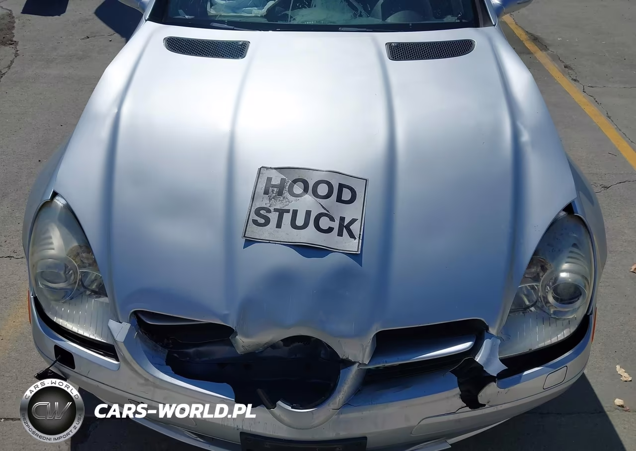 2006 Mercedes-Benz Slk 350 VIN:WDBWK56F16F128250 - 10
