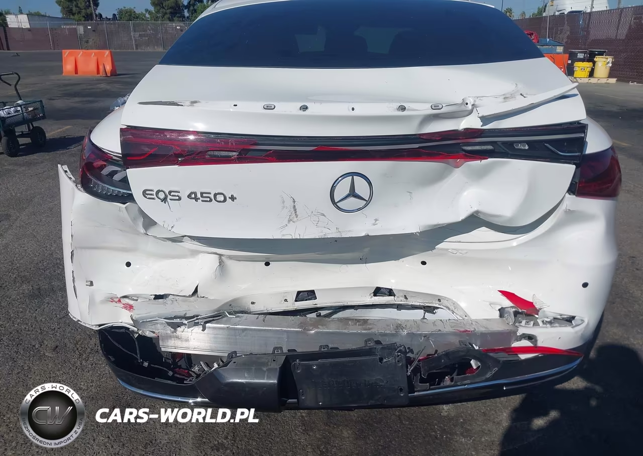 2023 Mercedes-Benz Eqs 450+ VIN:W1KCG2DB9PA031077 - 6