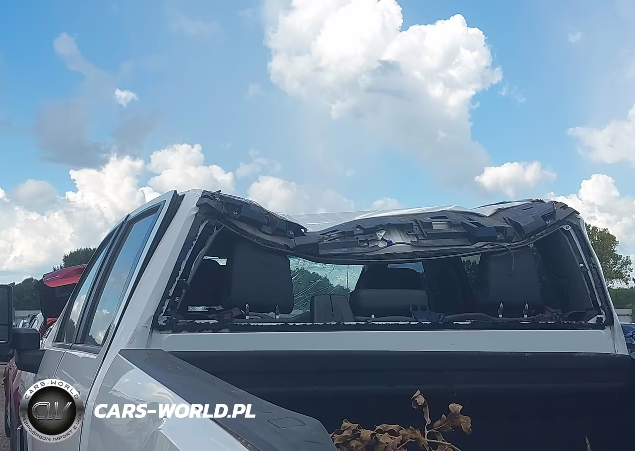 2020 GMC Sierra 2500Hd 2Wd Long Bed VIN:1GT18LE71LF304878 - 17