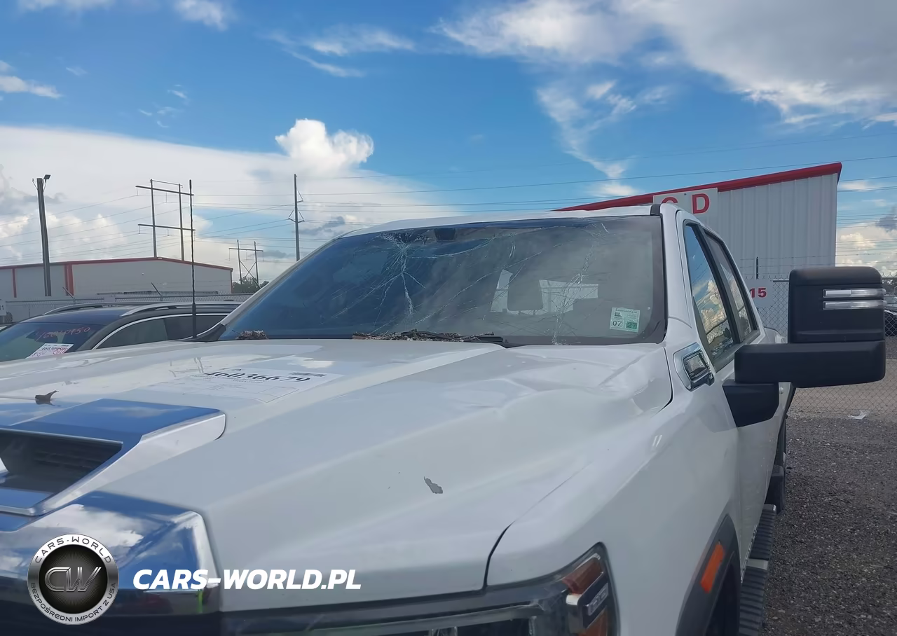 2020 GMC Sierra 2500Hd 2Wd Long Bed VIN:1GT18LE71LF304878 - 18
