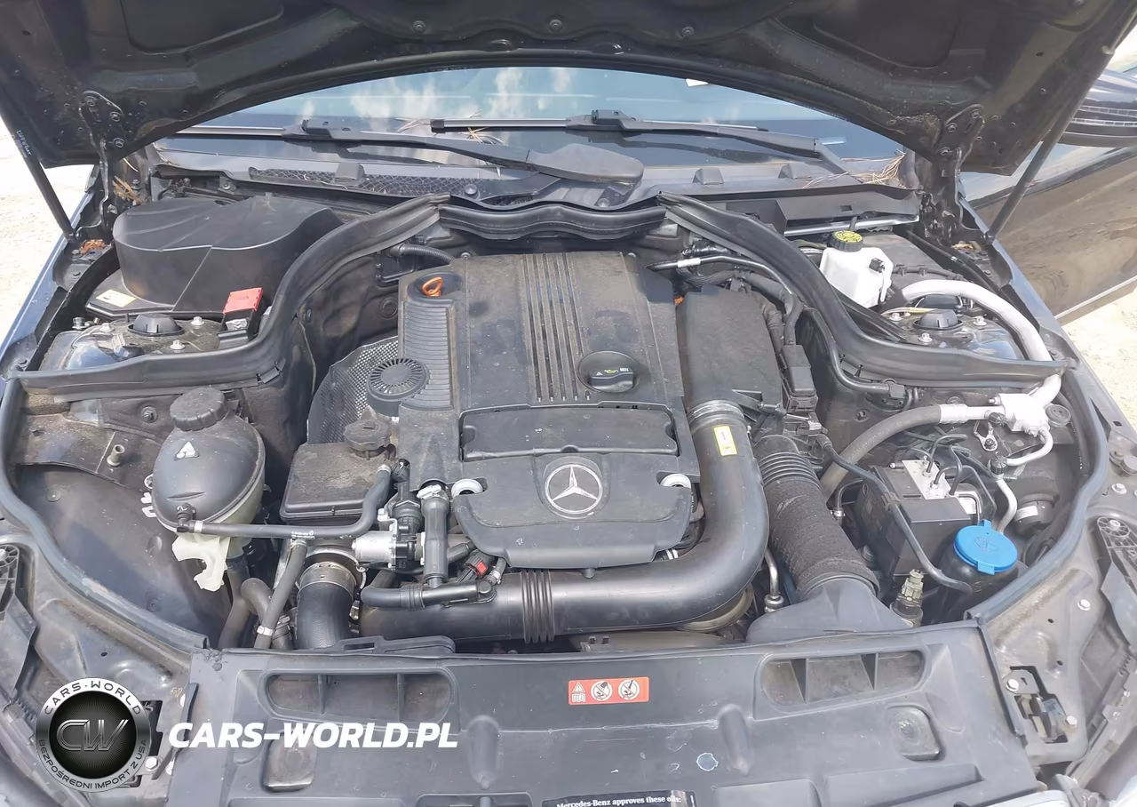 2014 Mercedes-Benz C 250 Luxury VIN:WDDGF4HBXEA949928 - 10