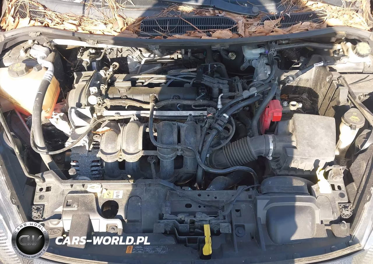 2017 Ford Fiesta Se VIN:3FADP4BJ5HM119543 - 10