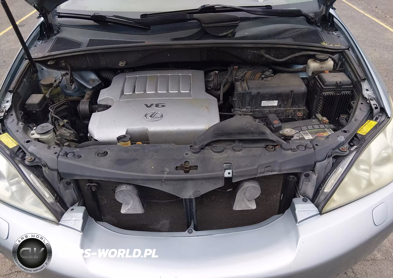 2007 Lexus Rx 350 VIN:2T2HK31U47C015905 - 10