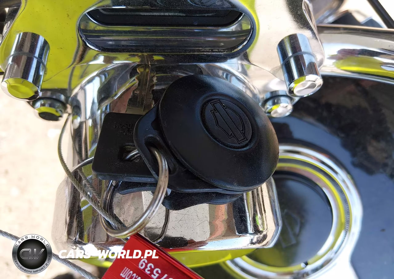 2006 Harley-Davidson Xl883 C VIN:1HD4CJM156K434444 - 11