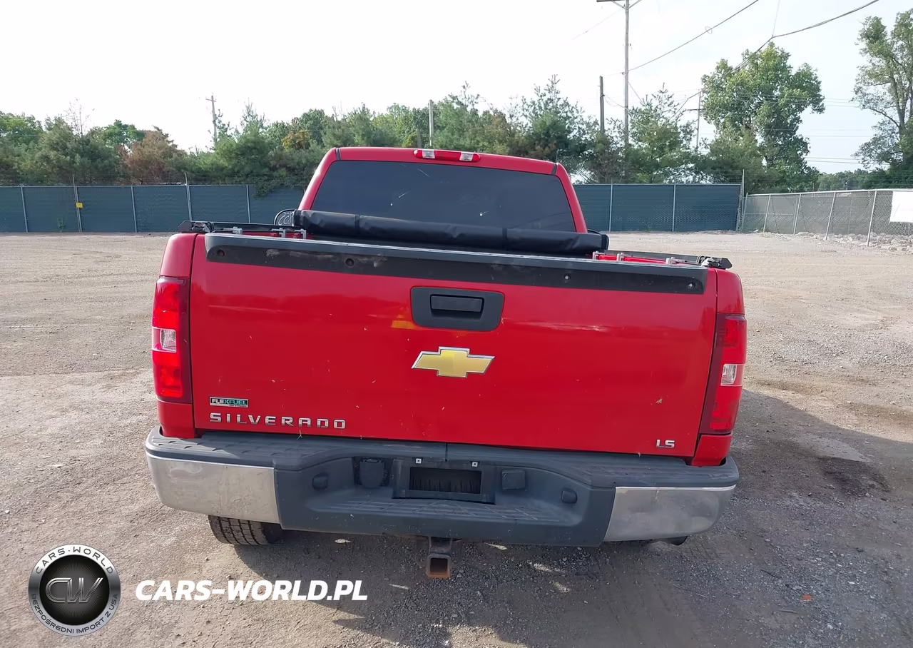 2010 Chevrolet Silverado 1500 Work Truck VIN:1GCPKPEA4AZ190059 - 17