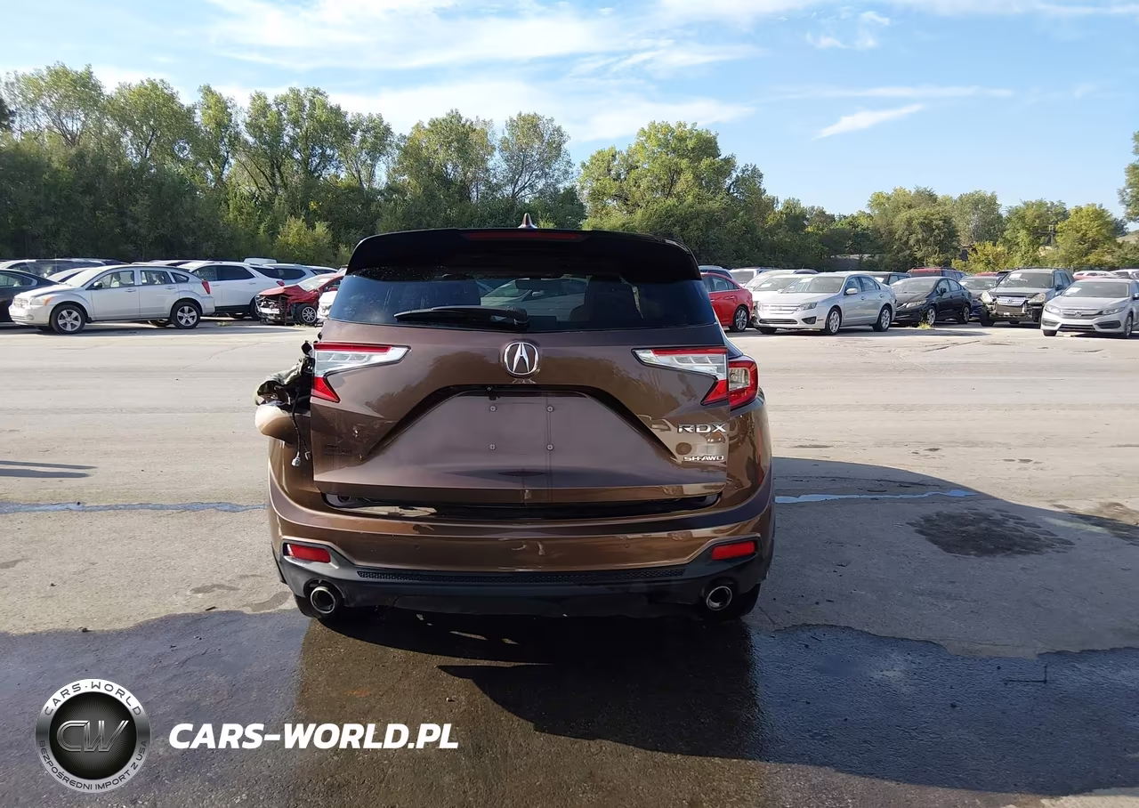 2019 Acura Rdx Advance Package VIN:5J8TC2H74KL016643 - 16