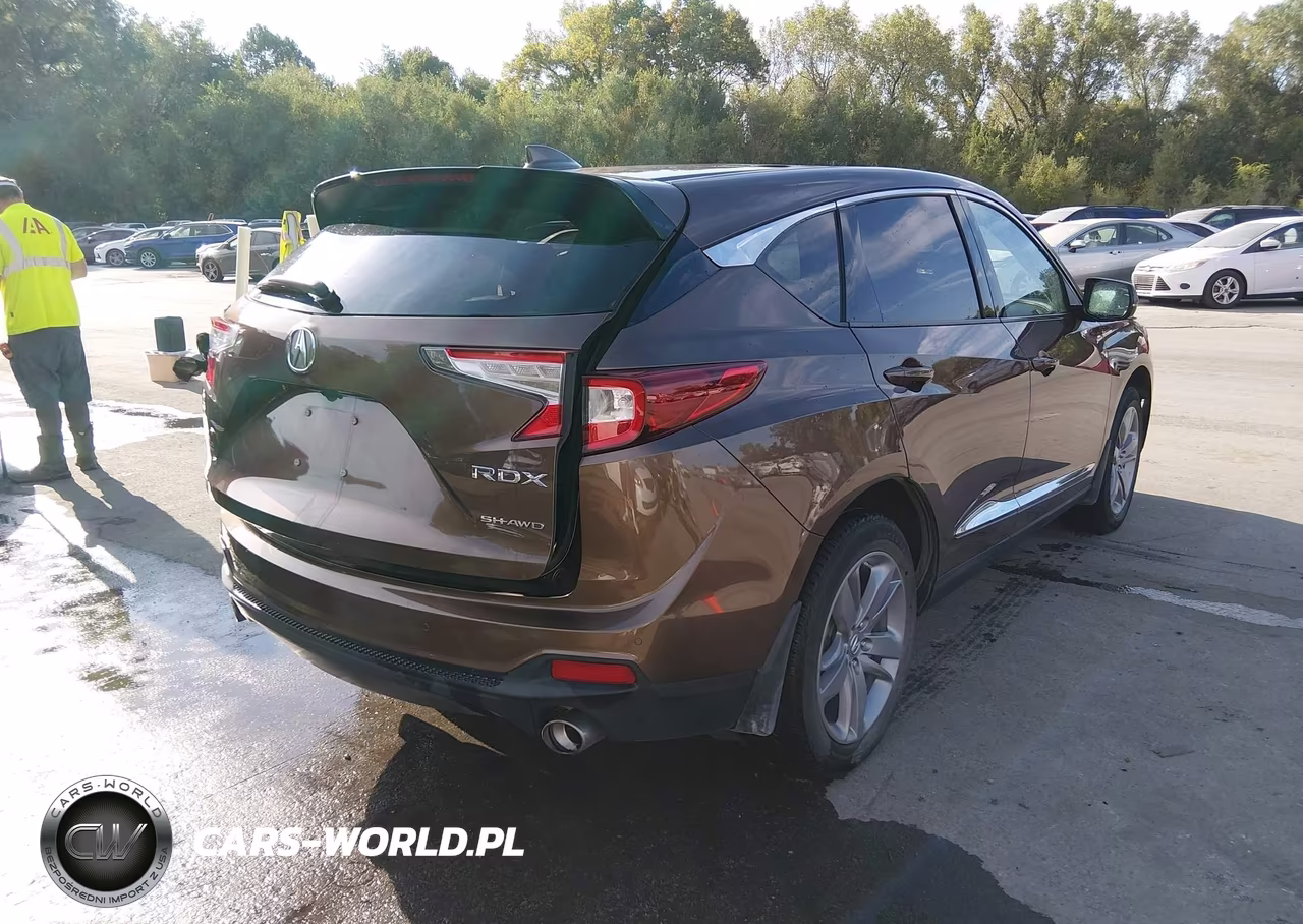 2019 Acura Rdx Advance Package VIN:5J8TC2H74KL016643 - 4