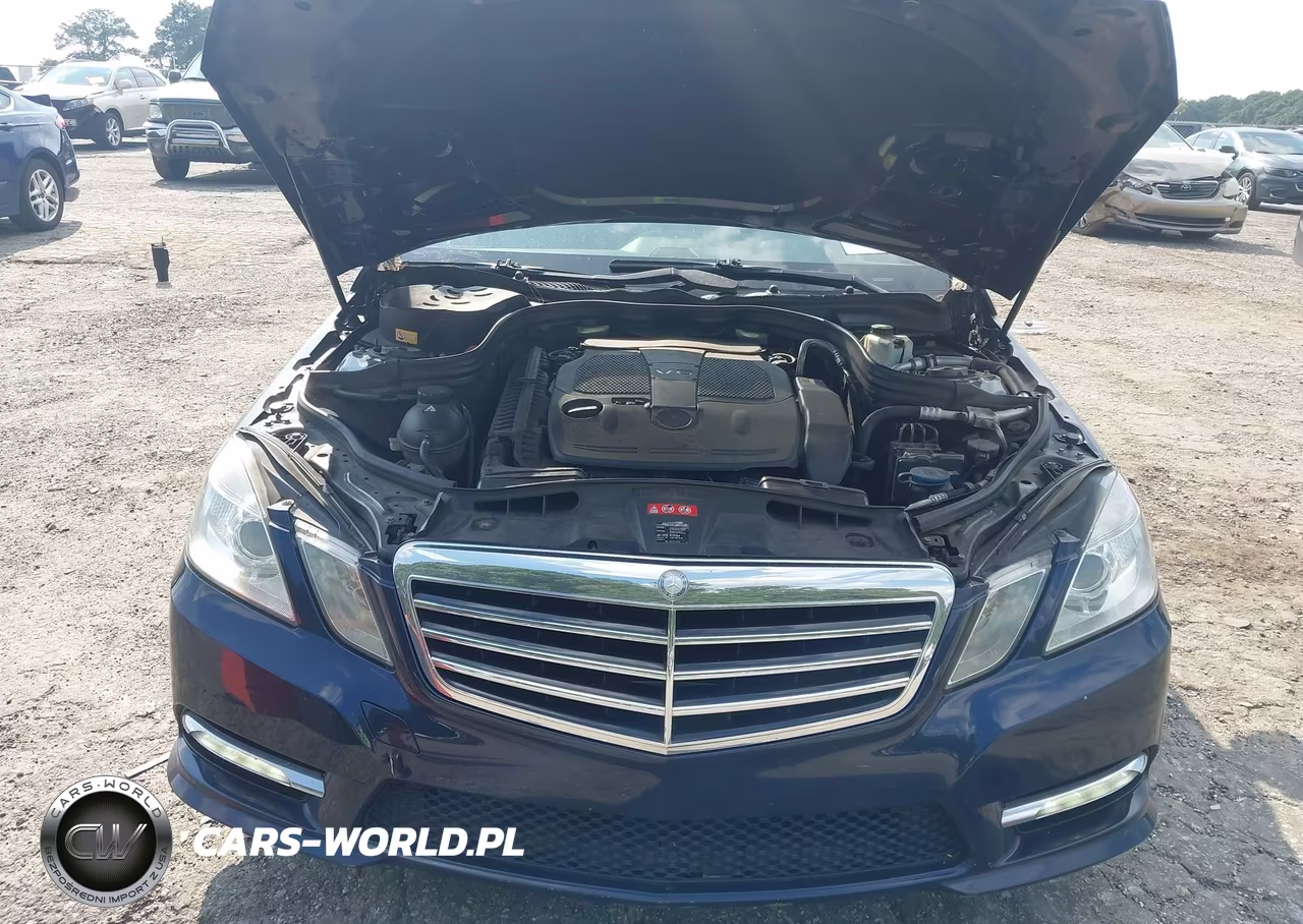 2013 Mercedes-Benz E 350 VIN:WDDHF5KB2DA698162 - 10