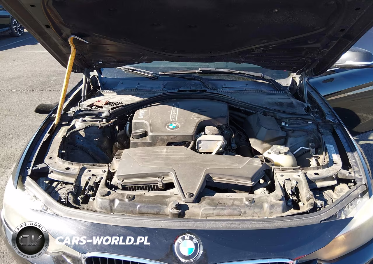 2015 BMW 320I VIN:WBA3B1G54FNT01815 - 10