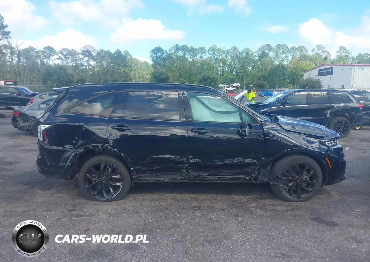 2023 Kia Sorento Sx VIN:5XYRKDLF0PG186183 - 12