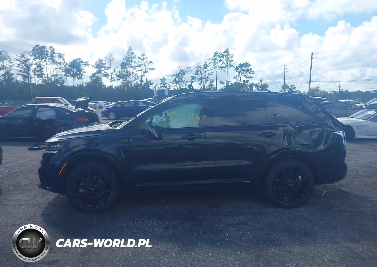 2023 Kia Sorento Sx VIN:5XYRKDLF0PG186183 - 13