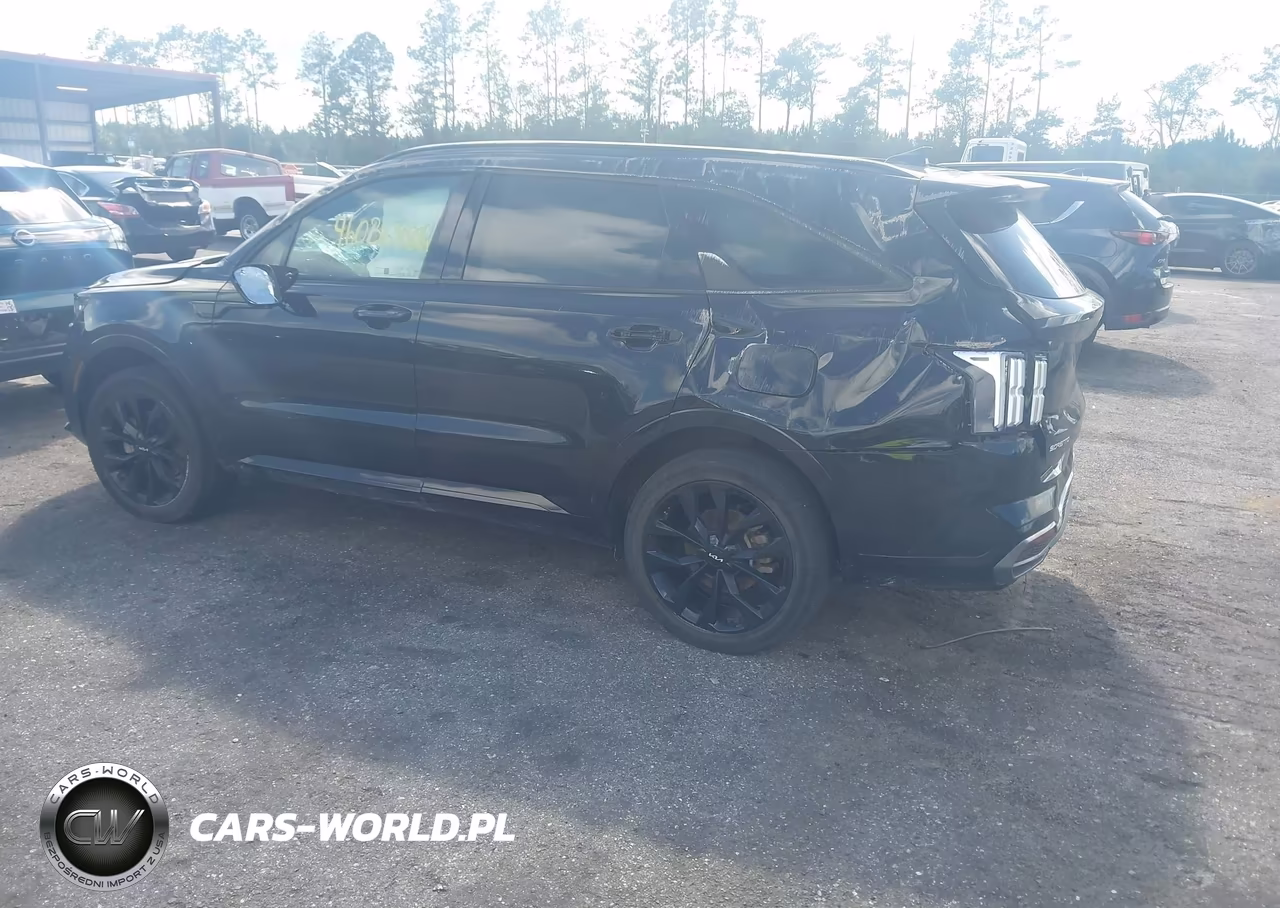2023 Kia Sorento Sx VIN:5XYRKDLF0PG186183 - 3