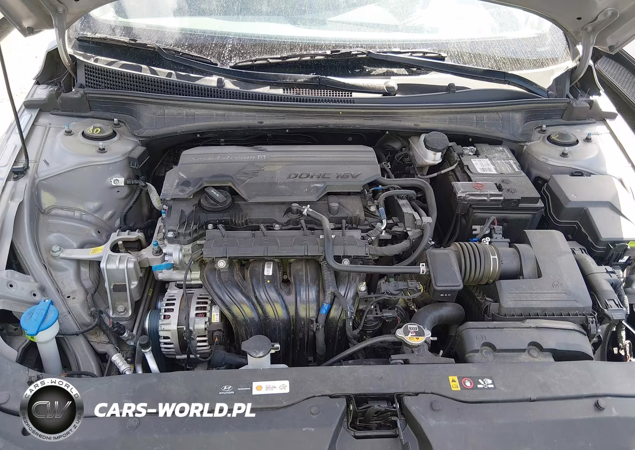 2025 Hyundai Elantra Sel Convenience VIN:KMHLS4DG1SU020822 - 10