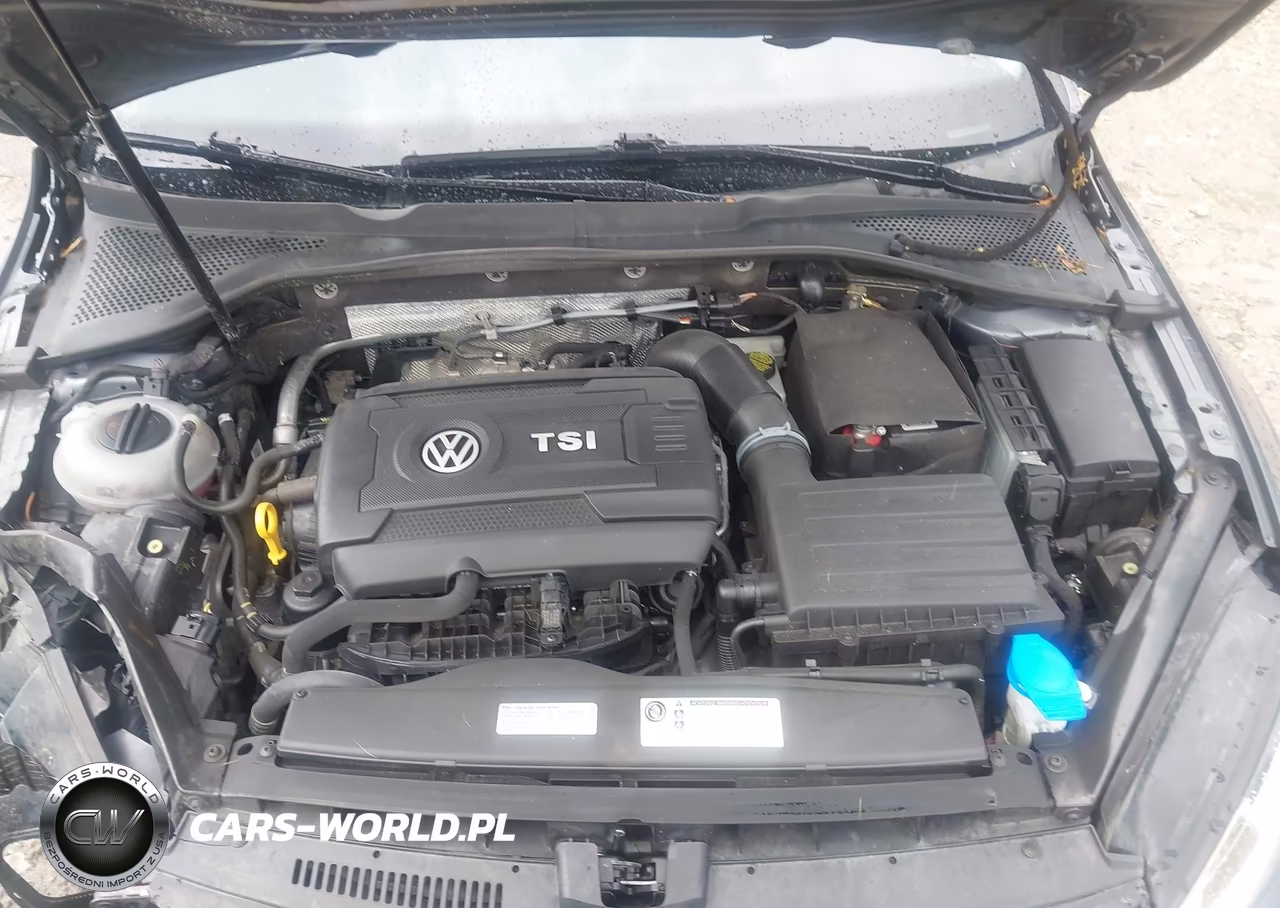 2017 Volkswagen Golf Alltrack Tsi S-Tsi Se-Tsi Sel VIN:3VWH17AU1HM518215 - 10