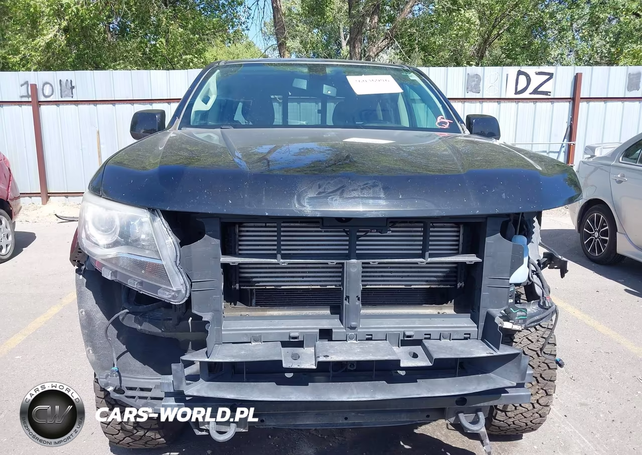 2016 Chevrolet Colorado 4Wd Z71 VIN:1GCPTDE18G1387948 - 12