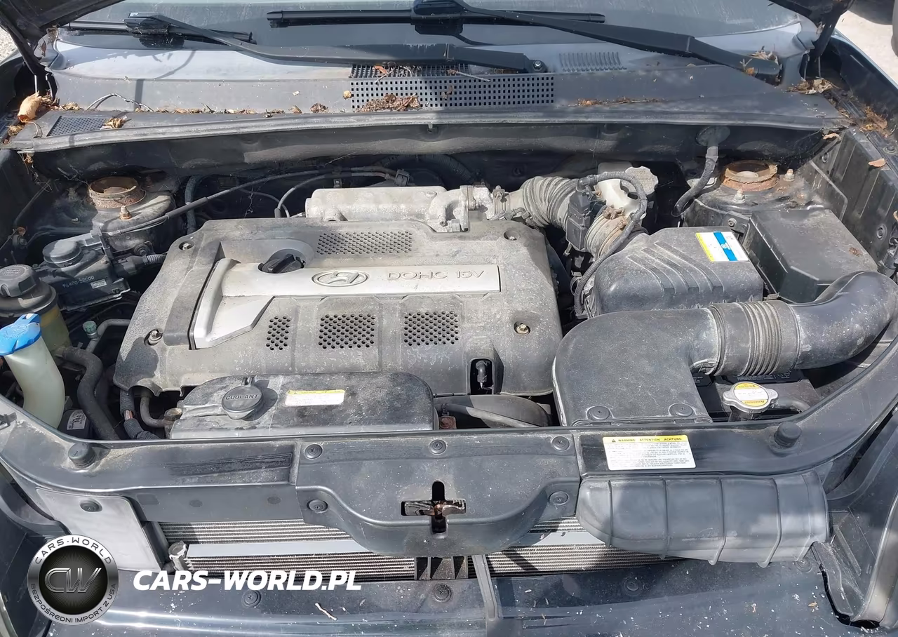 2006 Hyundai Tucson Gl VIN:KM8JM12B46U396024 - 10