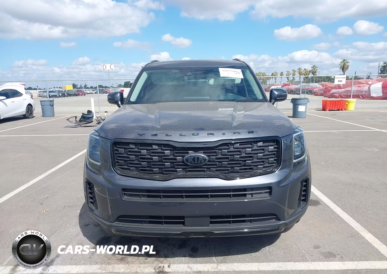 2021 Kia Telluride Ex VIN:5XYP3DHC2MG129126 - 12