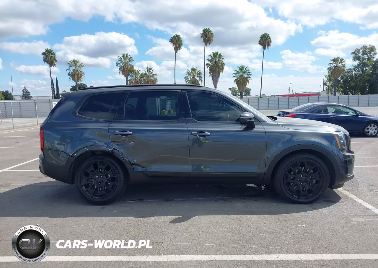 2021 Kia Telluride Ex VIN:5XYP3DHC2MG129126 - 13