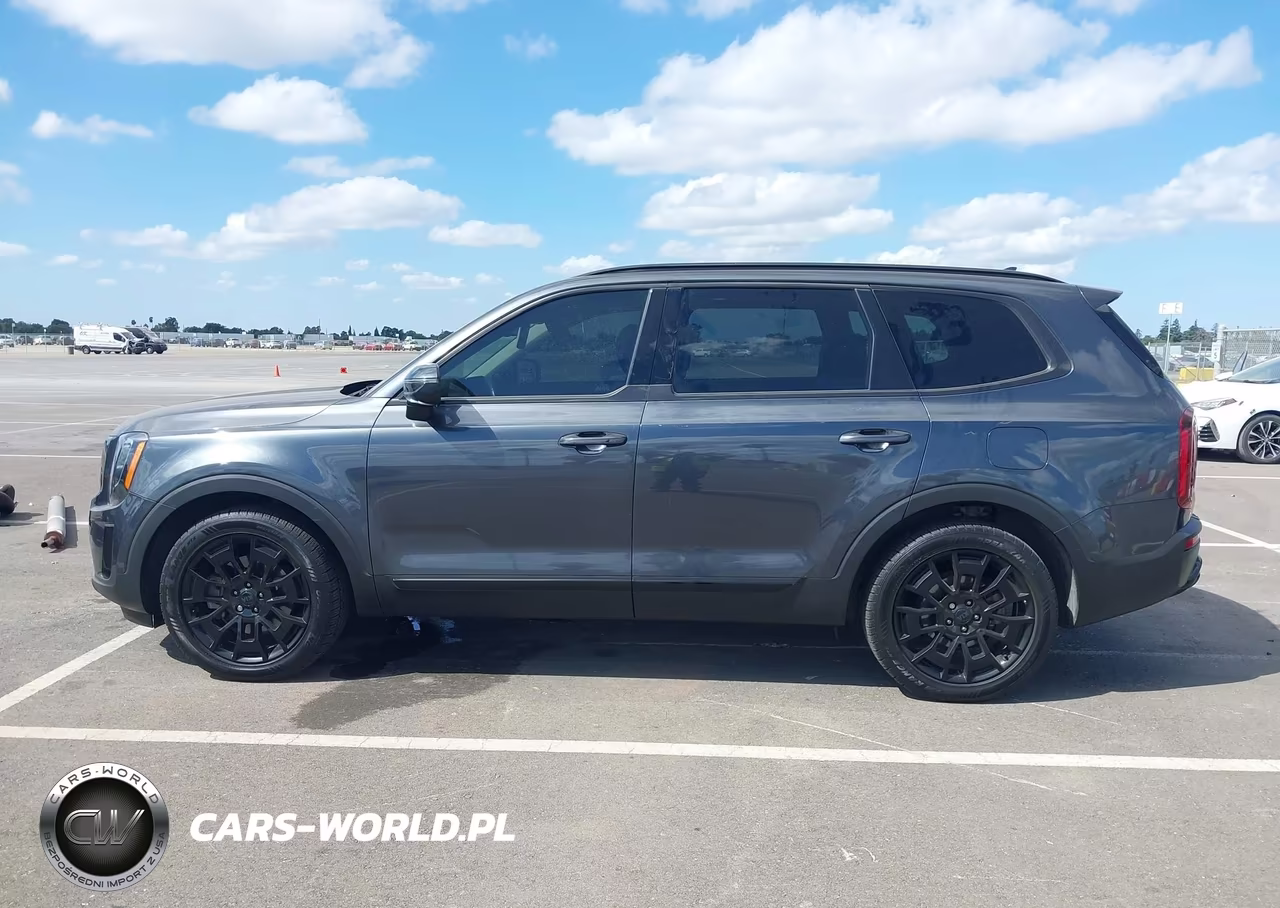 2021 Kia Telluride Ex VIN:5XYP3DHC2MG129126 - 14