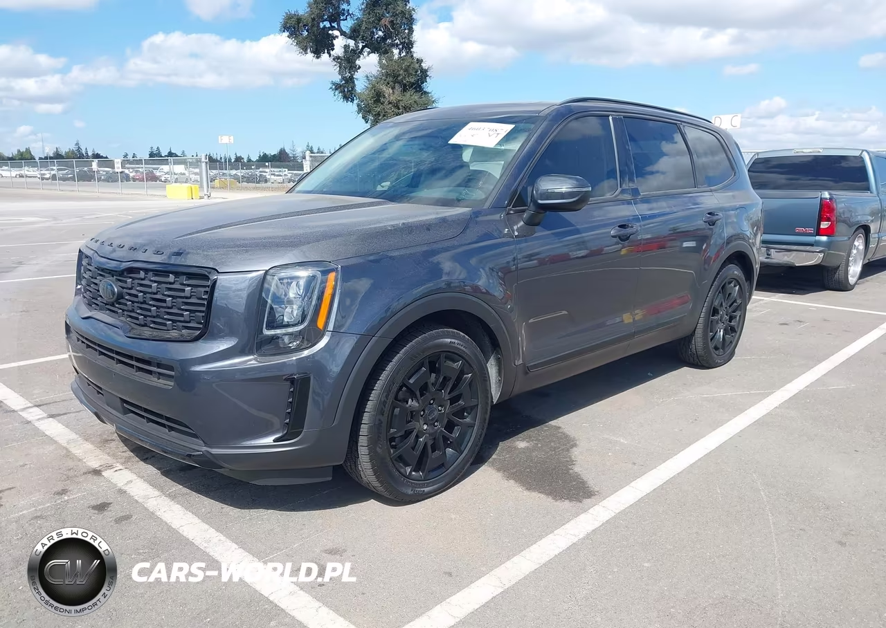 2021 Kia Telluride Ex VIN:5XYP3DHC2MG129126 - 2