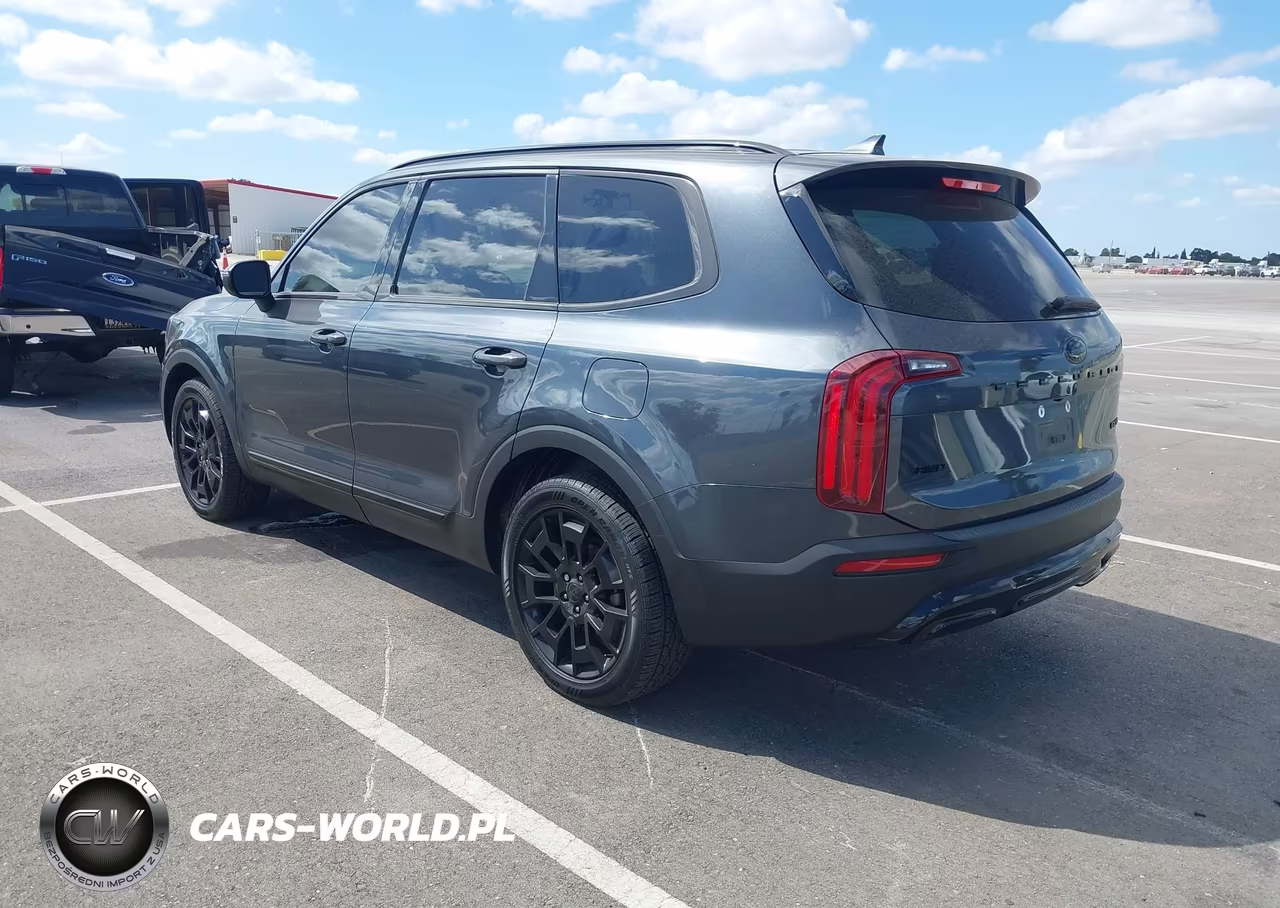 2021 Kia Telluride Ex VIN:5XYP3DHC2MG129126 - 3
