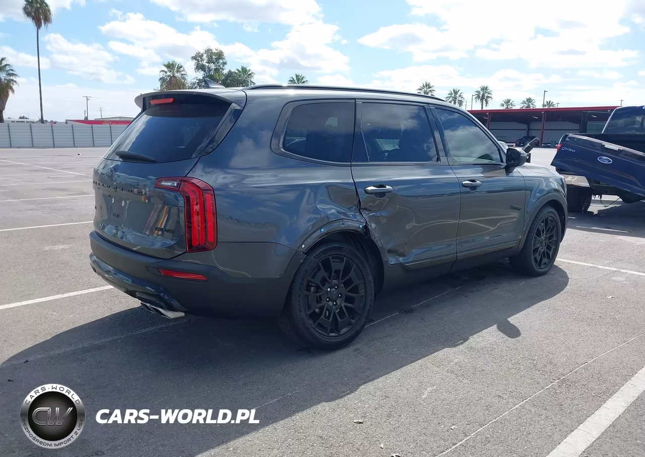 2021 Kia Telluride Ex VIN:5XYP3DHC2MG129126 - 4