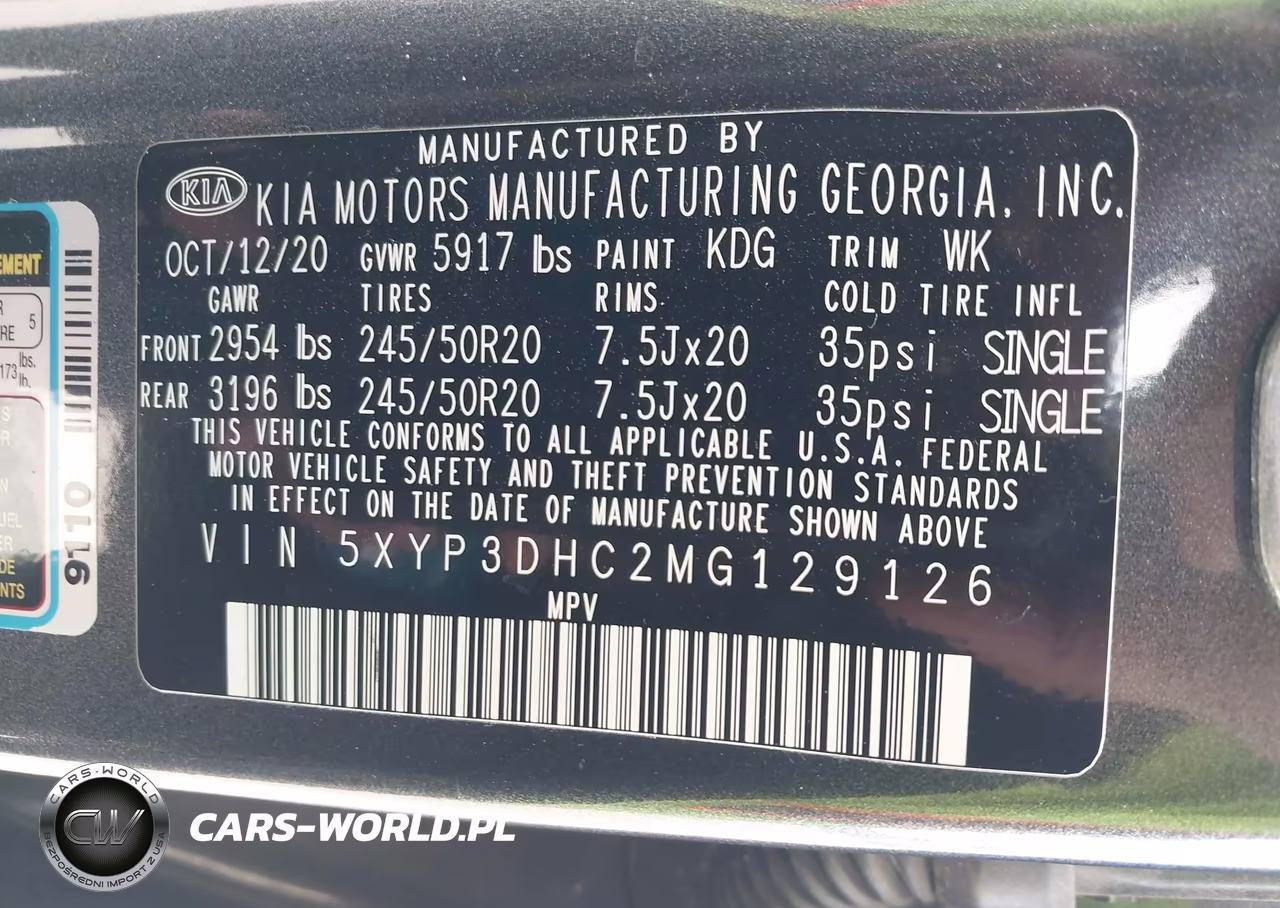 2021 Kia Telluride Ex VIN:5XYP3DHC2MG129126 - 9