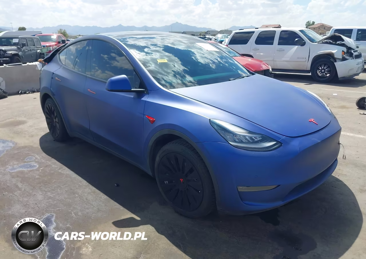2020 Tesla Model Y Long Range Dual Motor All-Wheel Drive VIN:5YJYGDEE9LF059113 - 1