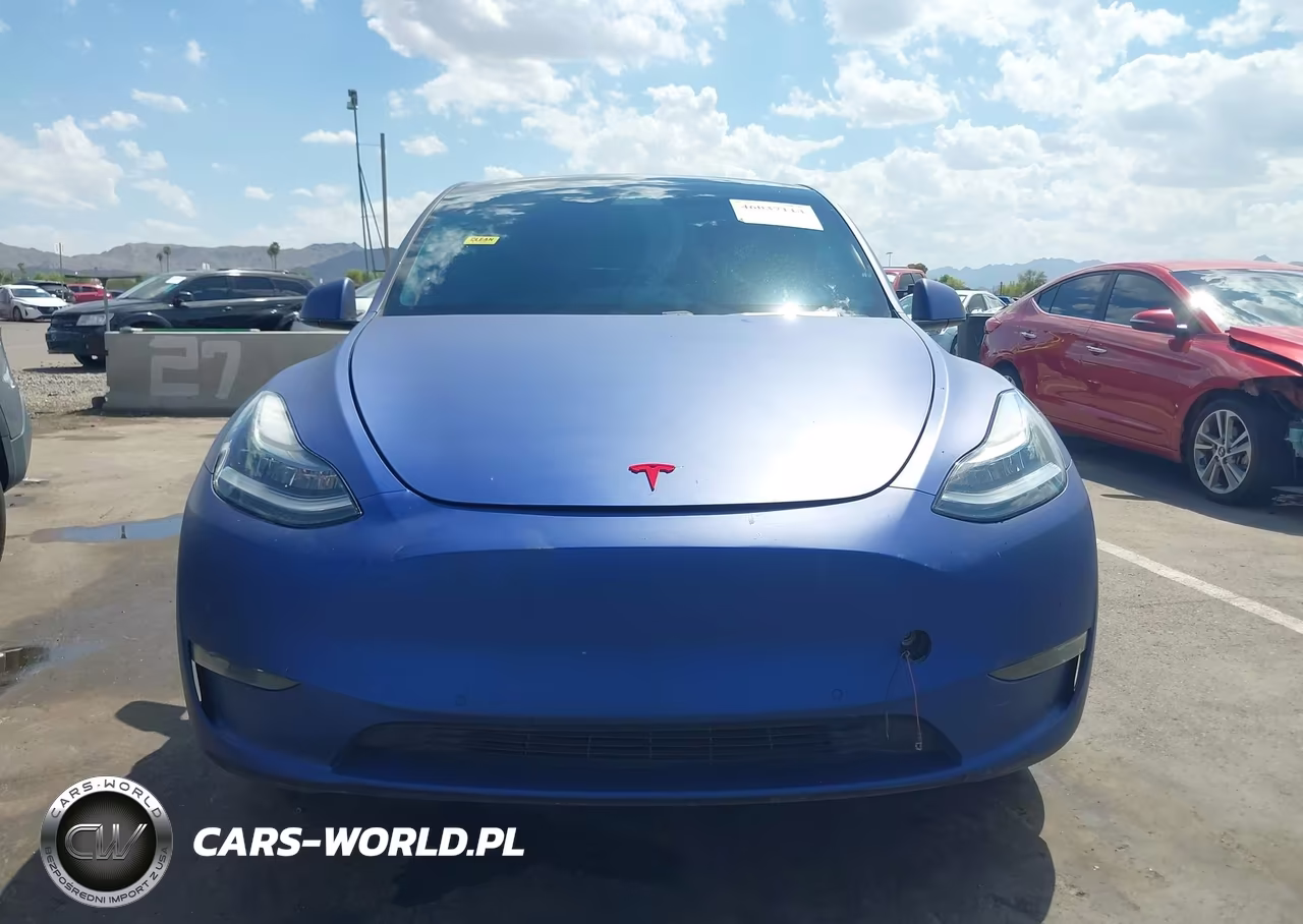 2020 Tesla Model Y Long Range Dual Motor All-Wheel Drive VIN:5YJYGDEE9LF059113 - 12