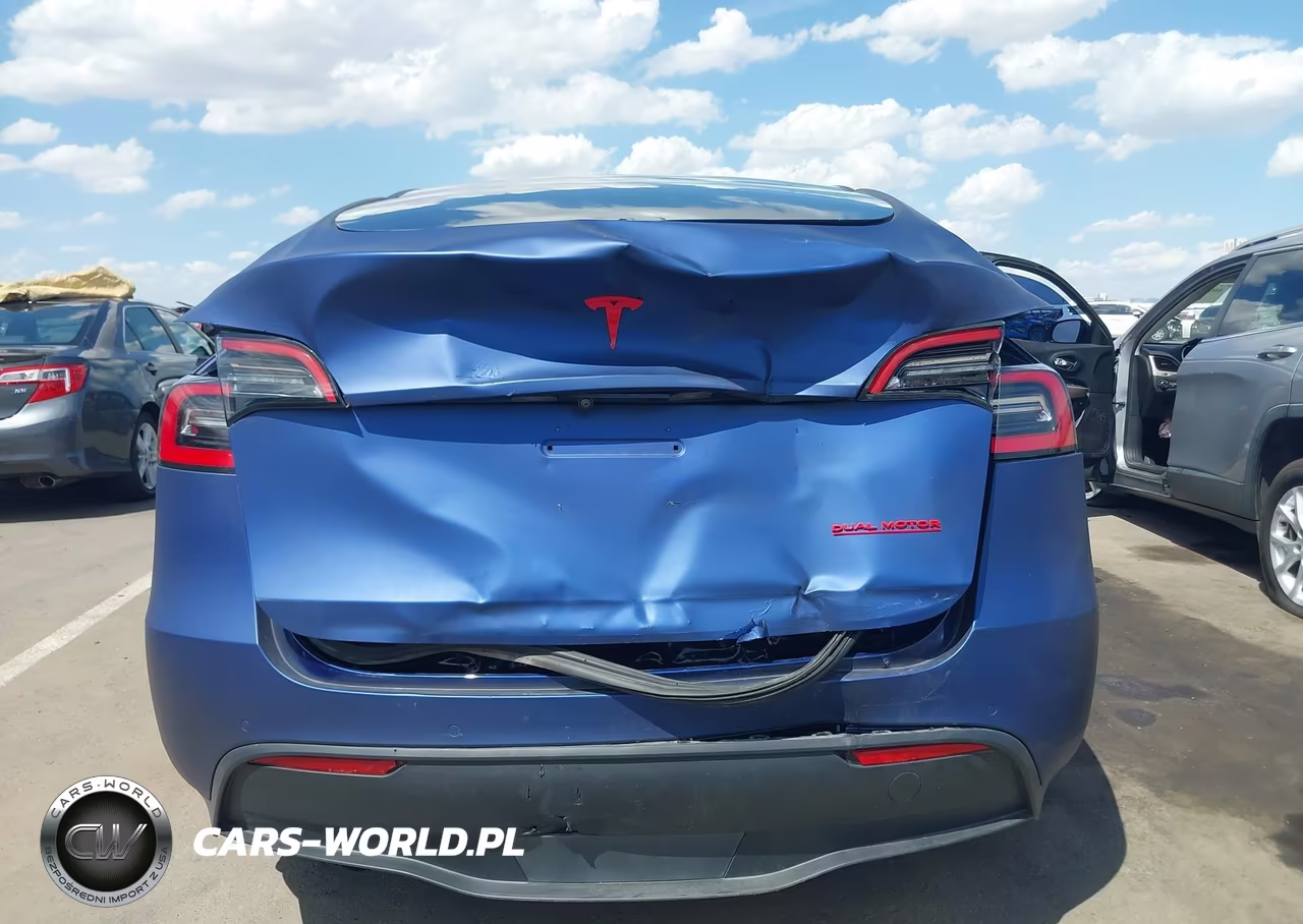 2020 Tesla Model Y Long Range Dual Motor All-Wheel Drive VIN:5YJYGDEE9LF059113 - 6