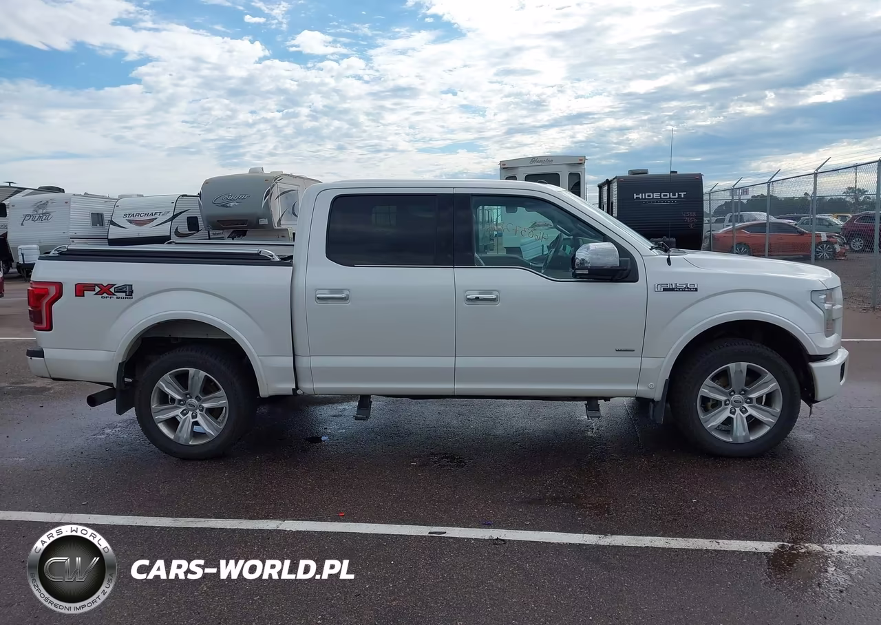 2016 Ford F-150 King Ranch-Lariat-Limited-Platinum-Xl-Xlt VIN:1FTEW1EGXGFD61789 - 13