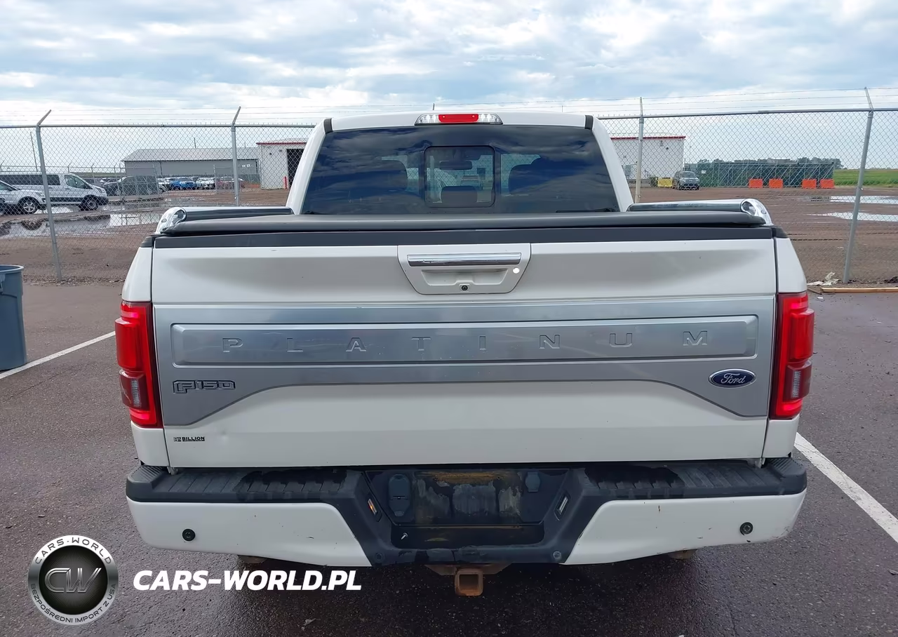 2016 Ford F-150 King Ranch-Lariat-Limited-Platinum-Xl-Xlt VIN:1FTEW1EGXGFD61789 - 16