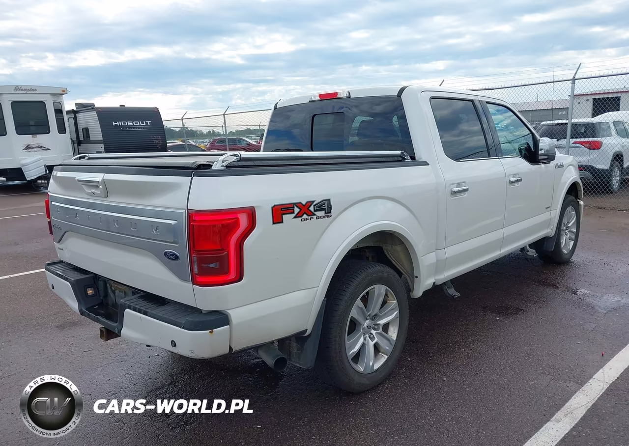 2016 Ford F-150 King Ranch-Lariat-Limited-Platinum-Xl-Xlt VIN:1FTEW1EGXGFD61789 - 4