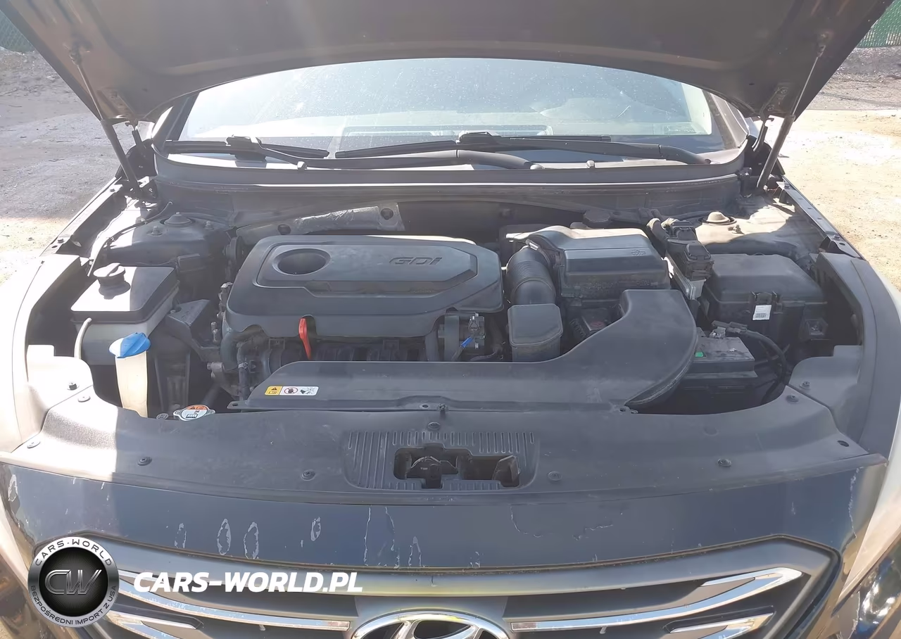 2016 Hyundai Sonata Se VIN:5NPE24AF7GH379280 - 10
