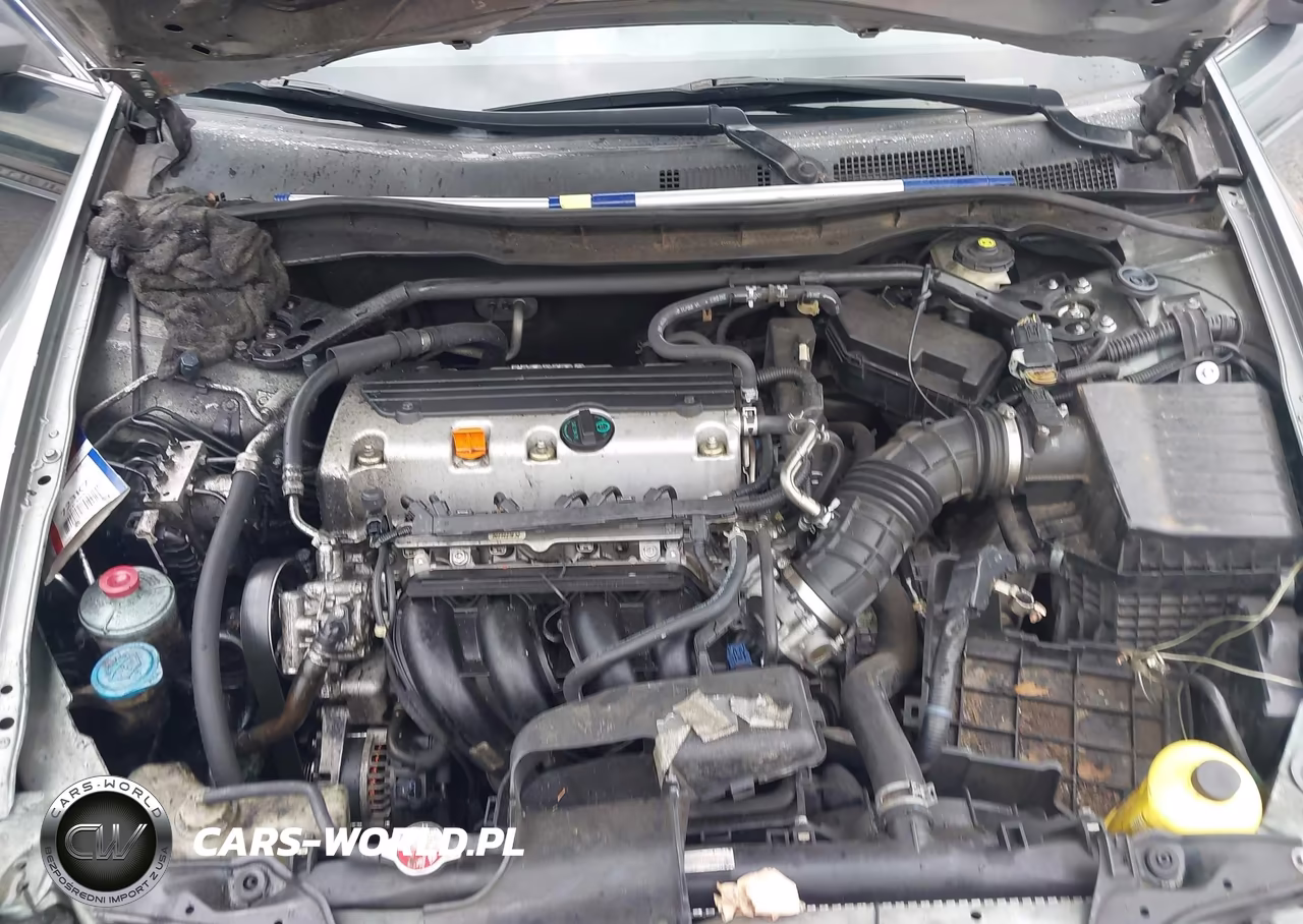 2010 Honda Accord 2.4 Ex VIN:1HGCP2F79AA009690 - 10