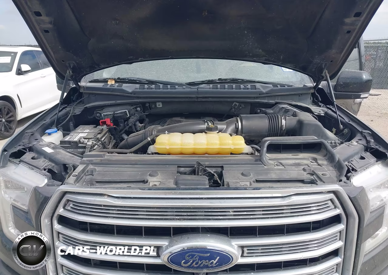 2017 Ford F-150 Limited VIN:1FTEW1EG2HFC59484 - 10