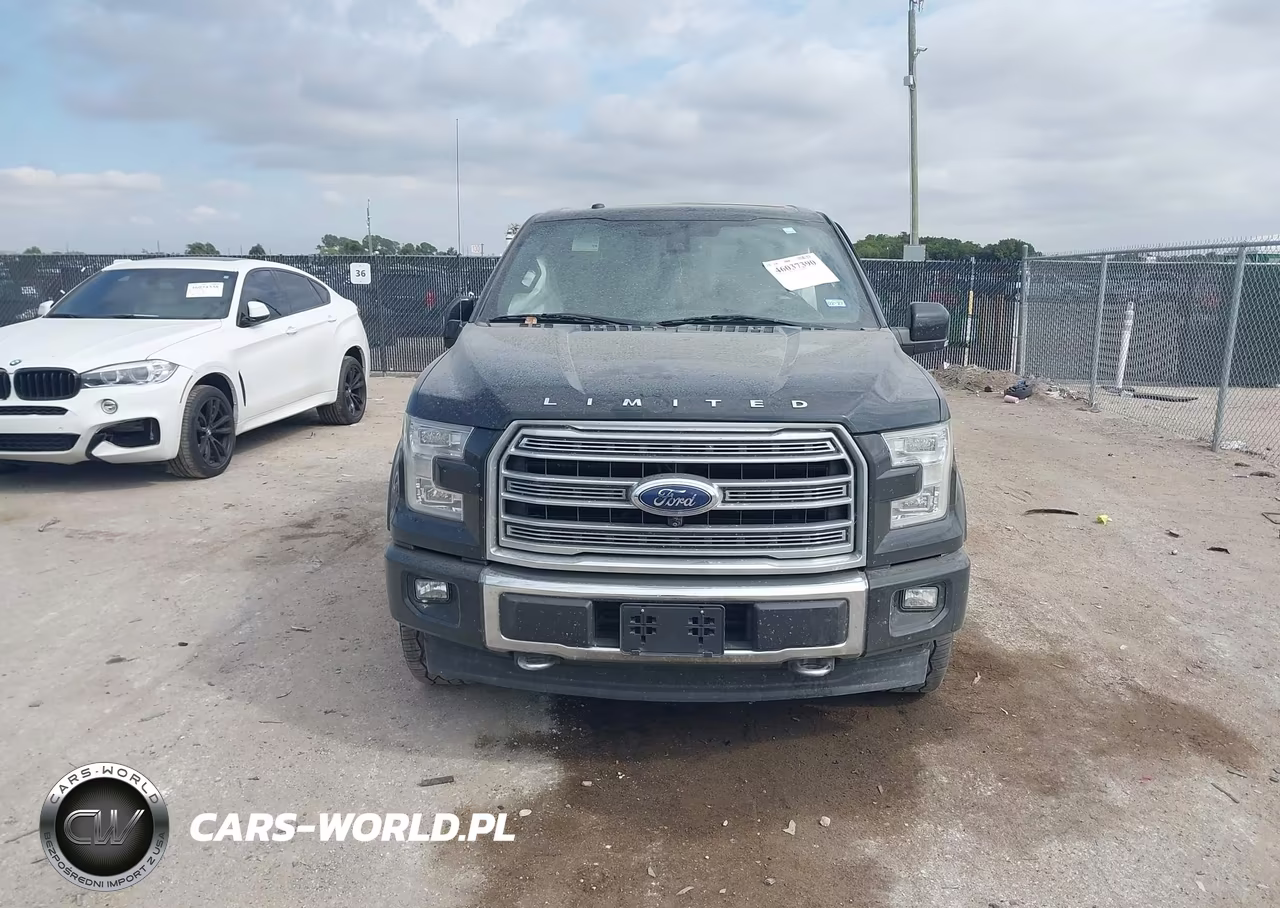 2017 Ford F-150 Limited VIN:1FTEW1EG2HFC59484 - 12