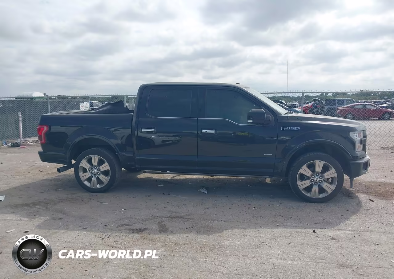 2017 Ford F-150 Limited VIN:1FTEW1EG2HFC59484 - 13