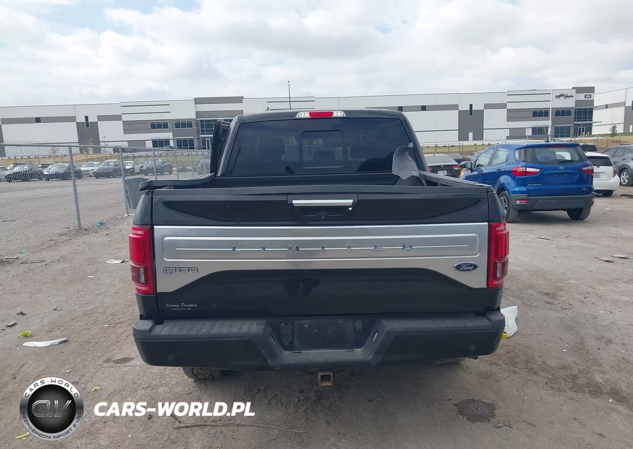 2017 Ford F-150 Limited VIN:1FTEW1EG2HFC59484 - 16