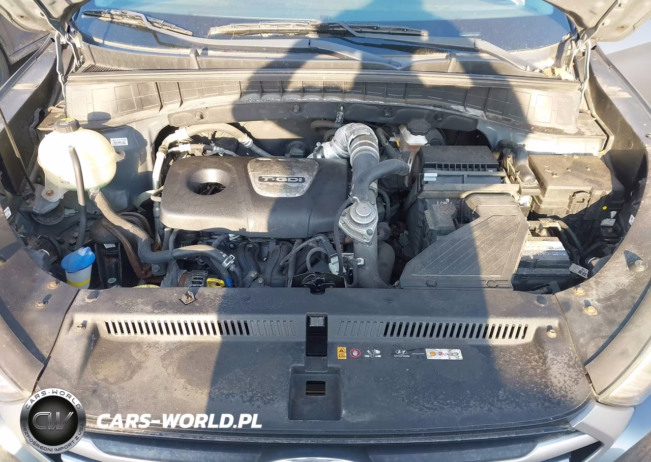 2017 Hyundai Tucson Eco VIN:KM8J33A25HU331993 - 10