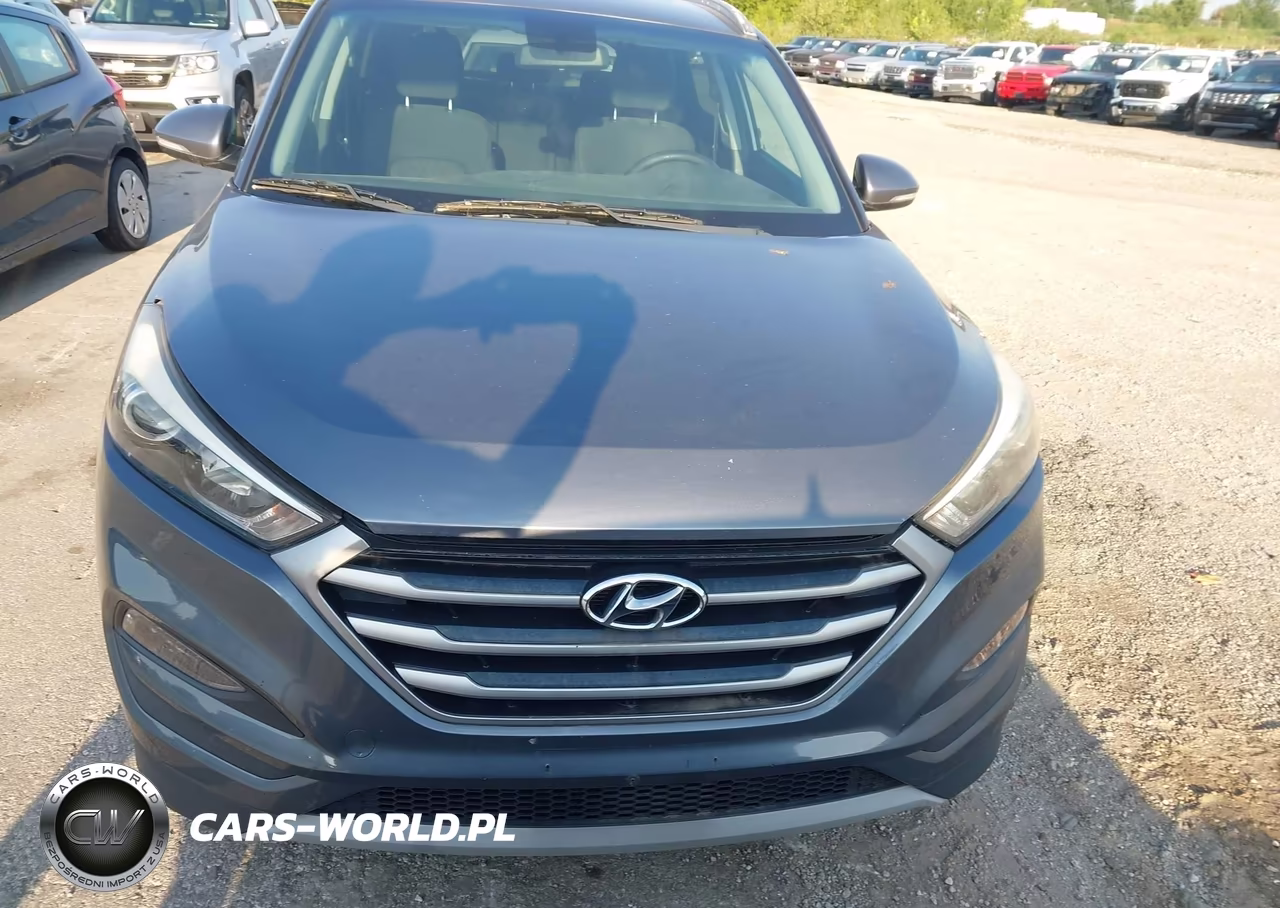 2017 Hyundai Tucson Eco VIN:KM8J33A25HU331993 - 12