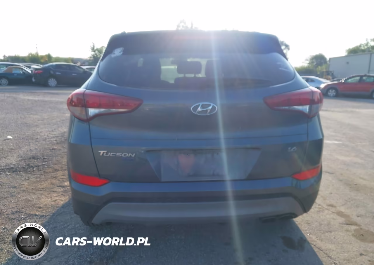 2017 Hyundai Tucson Eco VIN:KM8J33A25HU331993 - 16